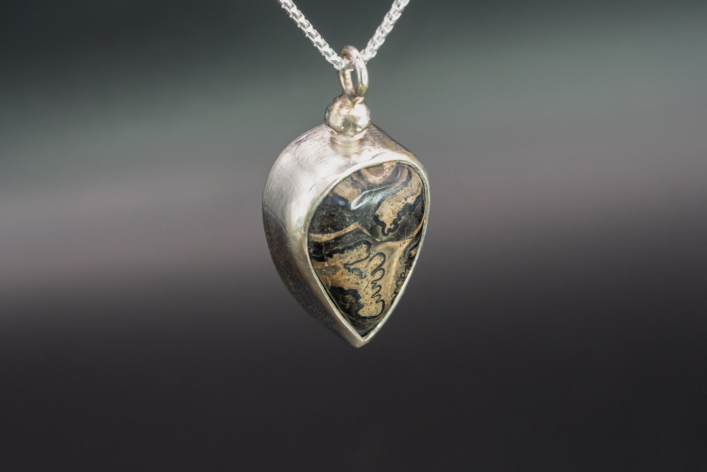 Horse Tooth Fossil Silver Pendant Jewelry