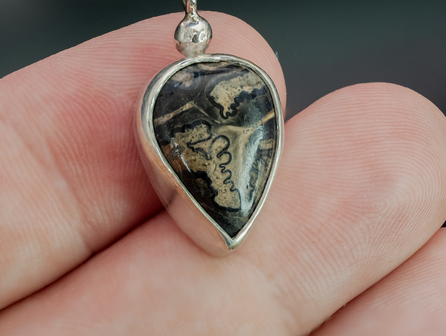 Horse Tooth Fossil Silver Pendant Jewelry
