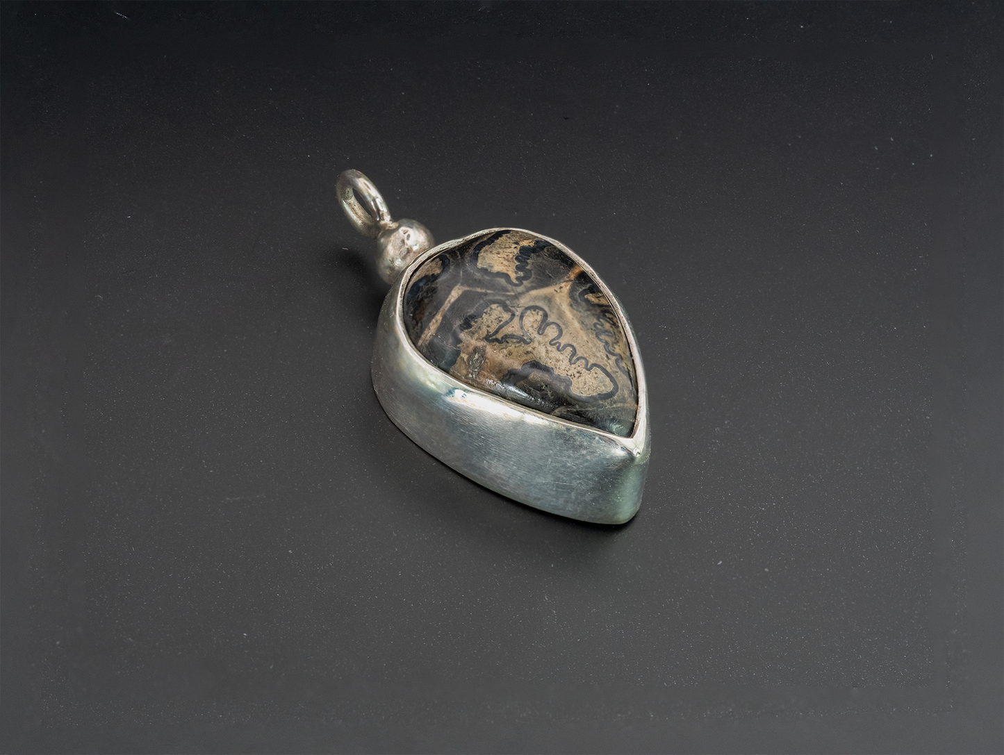 Horse Tooth Fossil Silver Pendant Jewelry